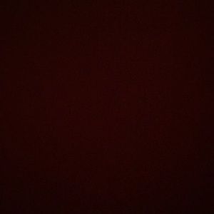 Meet your Posher, Nayeli